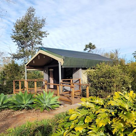 Southern Sky Glamping Mount Tamborine Bagian luar foto